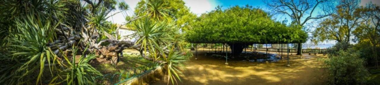 Retreat View Tagu River Lisboa Ngoại thất bức ảnh